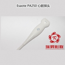 Esaote PA250心臟探頭